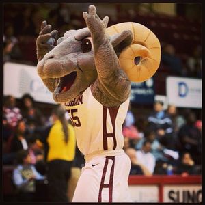 Image post by @fordhamwbb on Instagram