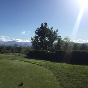 Image post by @barracudachampionship on Instagram