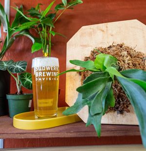 Image post by @sudwerkbrew on Instagram