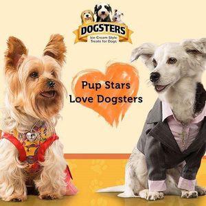 Image post by @dogstersicecream on Instagram