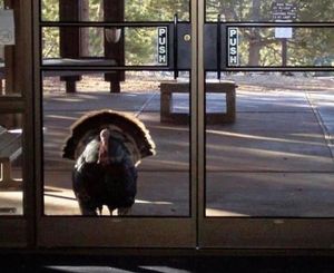 Image post by @nationalparkservice on Instagram