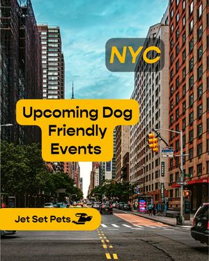 Image post by @jetsetpets on Instagram