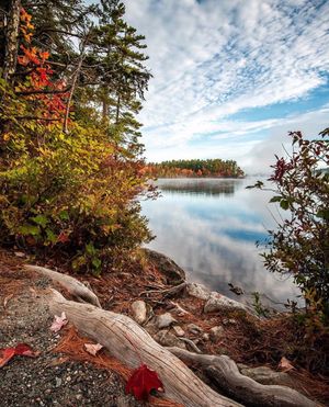 Image post by @themainemag on Instagram