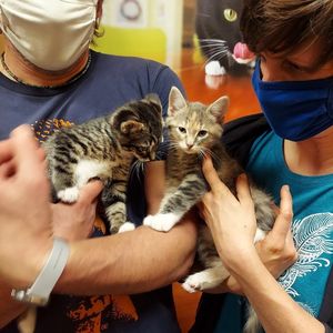 Image post by @spokhumanesoc on Instagram