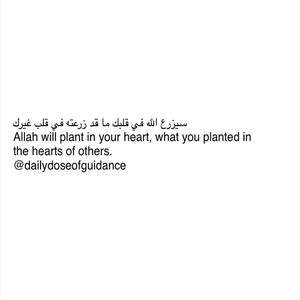 Image post by @dailydoseofguidance on Instagram