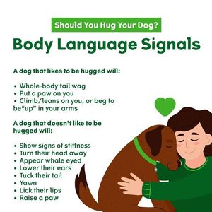 Image post by @YuMOVE.US on Facebook