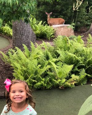 Image post by @bubbawatson on Instagram
