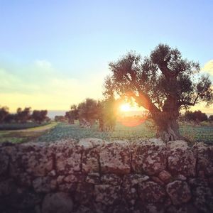 Image post by @francesco__laporta on Instagram