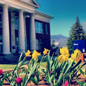 Image post by @nauflagstaff on Instagram