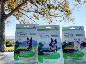 Image post by @yumove_usa on Instagram
