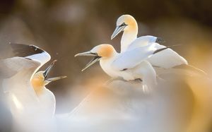 Image post by @natgeo on Instagram