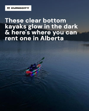 Image post by @curiocitycalgary on Instagram