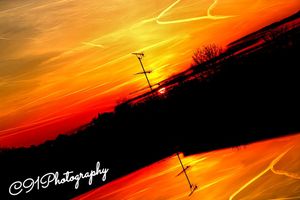 Image post by @c91photography on Instagram