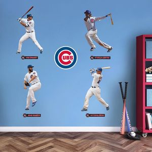 Image post by @chicagocubsnation on Instagram