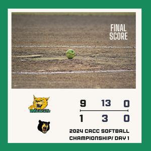 Image post by @delawaresportsblitz on Instagram