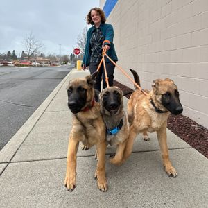 Image post by @spokhumanesoc on Instagram