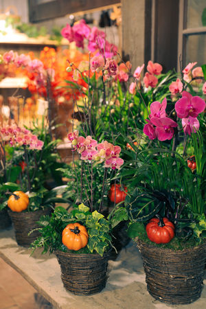 Image post by @rogersgardens on Instagram