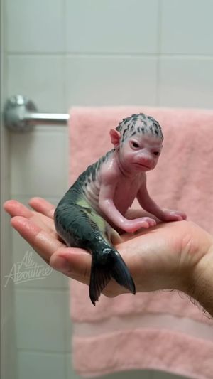 Video post by @ali.aboutine on TikTok