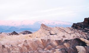 Image post by @lostfoxcreative on Instagram