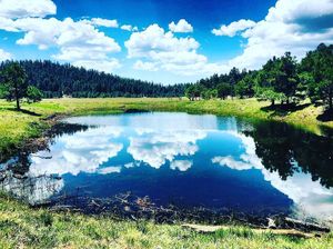 Image post by @nauflagstaff on Instagram
