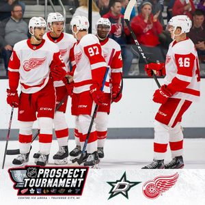 Image post by @detroitredwings on Instagram