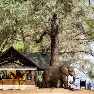 Image post by @chiawasafaris on Instagram