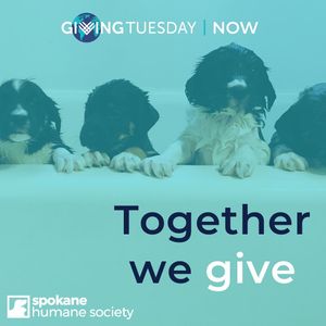 Image post by @spokhumanesoc on Instagram