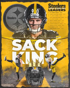 Image post by @steelers on Instagram