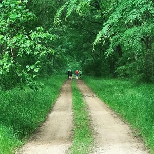 Image post by @runninglane on Instagram