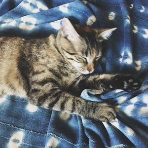 Image post by @ropethemoon on Instagram