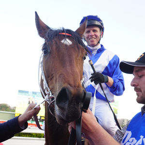 Image post by @australianturfclub on Instagram