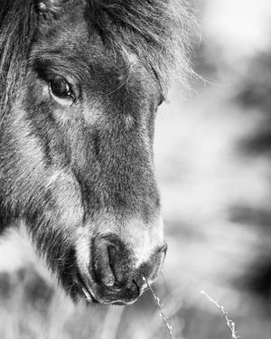 Image post by @jpotterphoto on Instagram