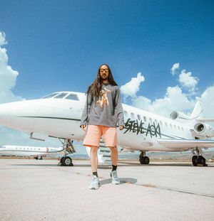 Image post by @steveaoki on Instagram