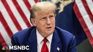 Video post by @msnbc on YouTube