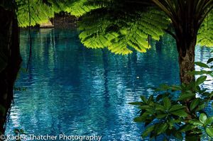 Image post by @kadekthatcherphotography on Instagram