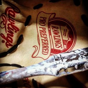 Image post by @rawlingstigers on Instagram