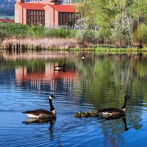 Image post by @cuboulder on Instagram