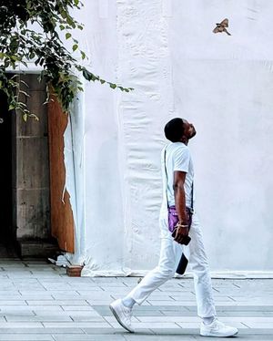 Image post by @mtl_unscripted on Instagram