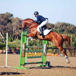 Image post by @snaffle_it on Instagram