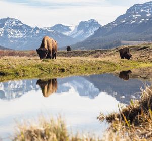 Image post by @nationalparkservice on Instagram