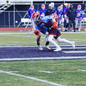 Image post by @predatorslacrosse on Instagram