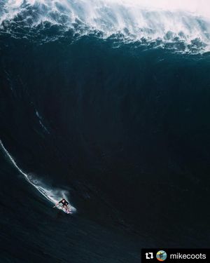 Image post by @elo_eriklogan on Instagram