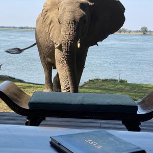 Image post by @chiawasafaris on Instagram