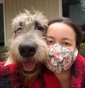 Image post by @thesavannahwolfhound on Instagram