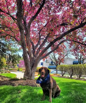 Image post by @creighton1878 on Instagram