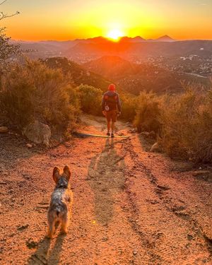 Image post by @squirrelmusttravel on Instagram