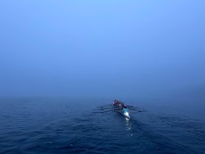 Image post by @harvardradclifferowing on Instagram