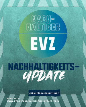 Image post by @official_evz on Instagram