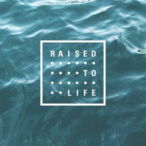 Image post by @bayhopestudents on Instagram