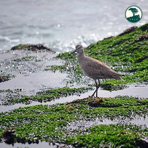 Image post by @pebblebeachresorts on Instagram